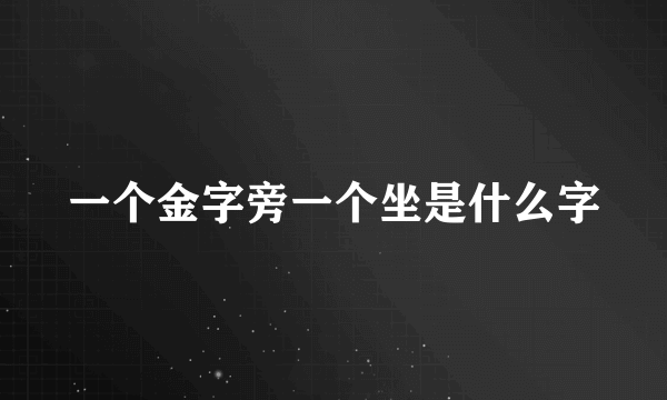 一个金字旁一个坐是什么字
