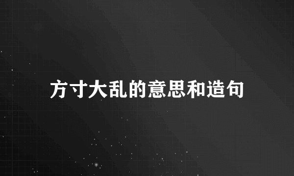方寸大乱的意思和造句