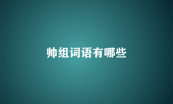 帅组词语有哪些