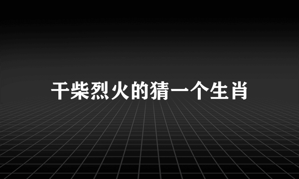 干柴烈火的猜一个生肖
