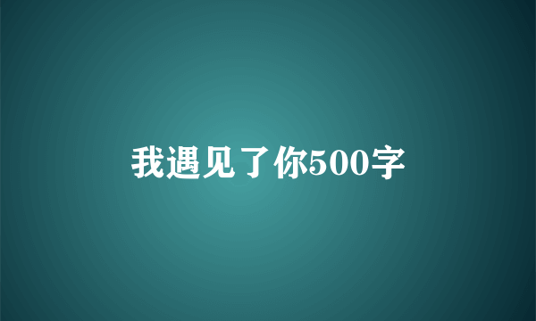 我遇见了你500字