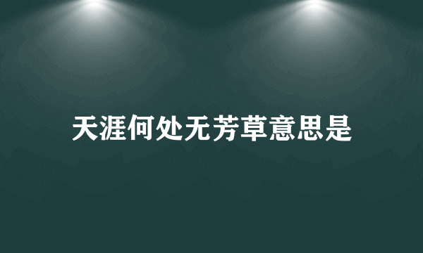 天涯何处无芳草意思是