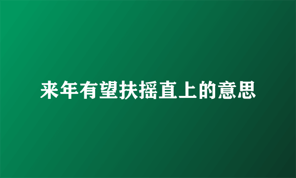 来年有望扶摇直上的意思