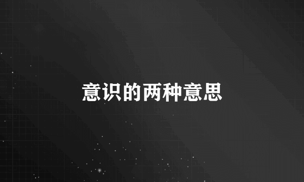 意识的两种意思