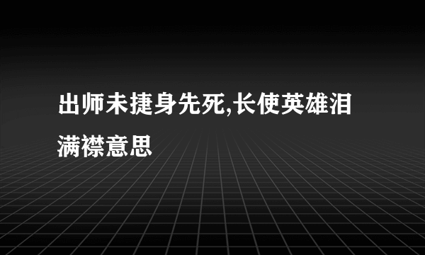 出师未捷身先死,长使英雄泪满襟意思