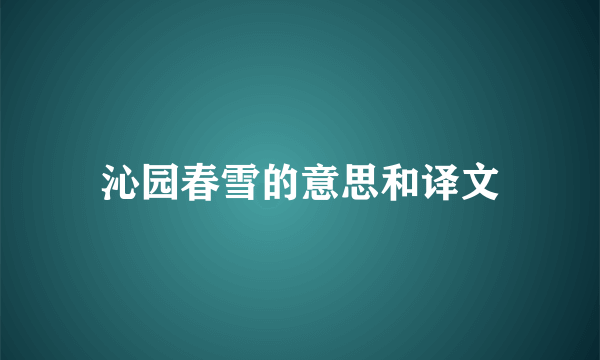 沁园春雪的意思和译文