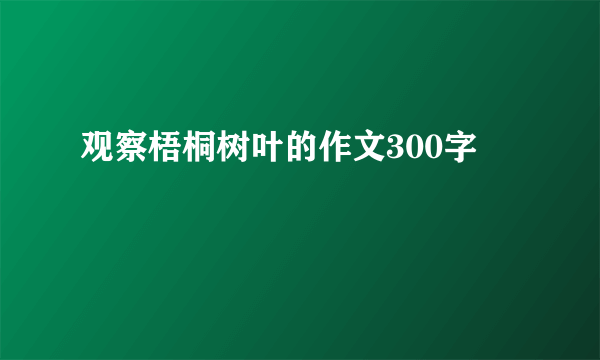 观察梧桐树叶的作文300字
