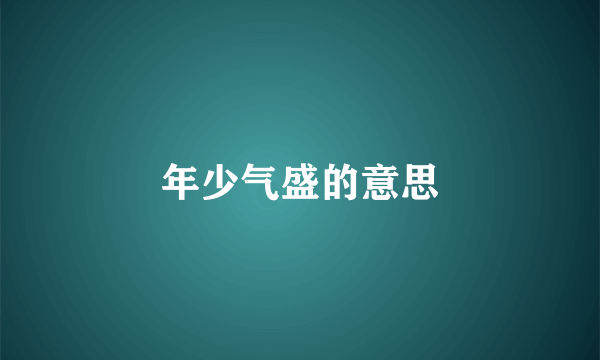 年少气盛的意思