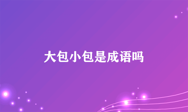 大包小包是成语吗