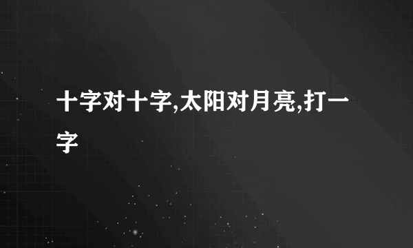 十字对十字,太阳对月亮,打一字