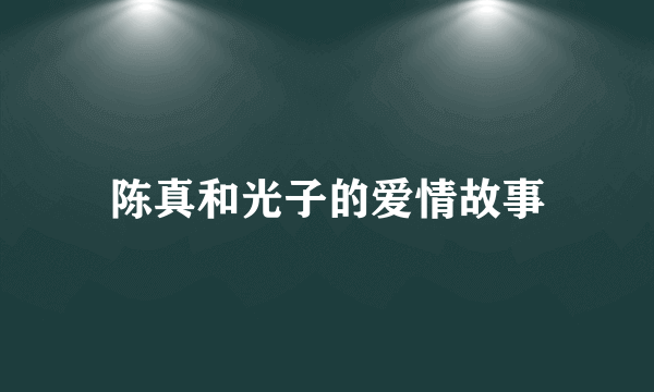 陈真和光子的爱情故事