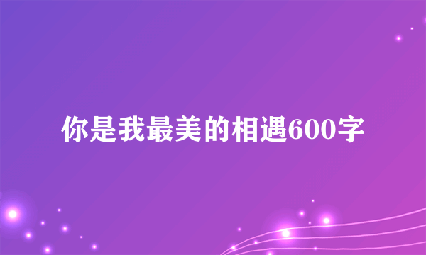 你是我最美的相遇600字