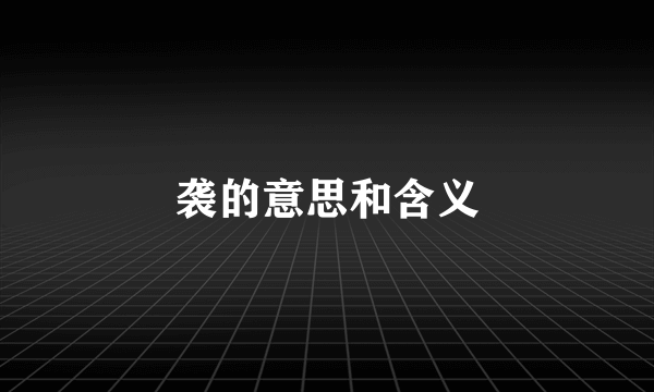 袭的意思和含义