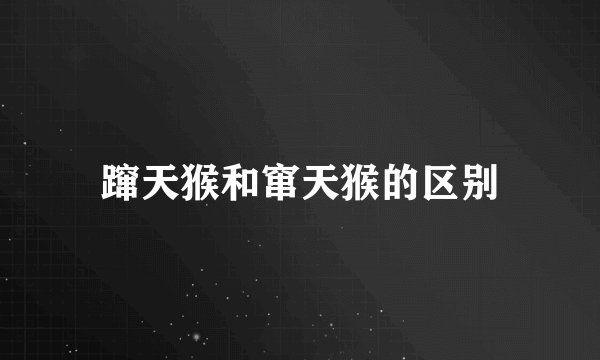 蹿天猴和窜天猴的区别