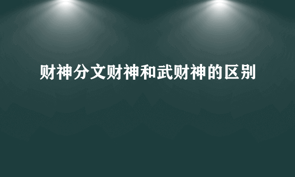 财神分文财神和武财神的区别