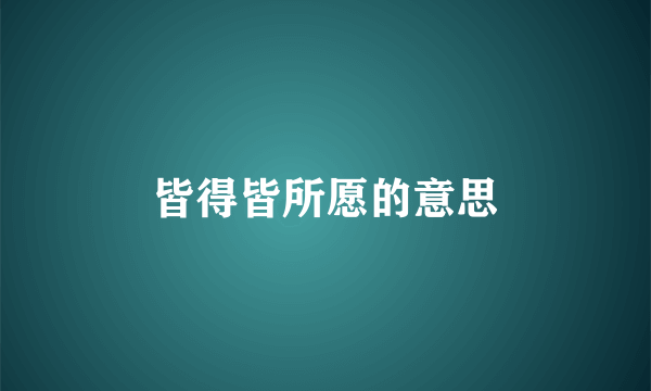 皆得皆所愿的意思