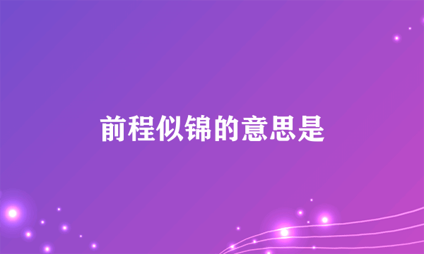 前程似锦的意思是