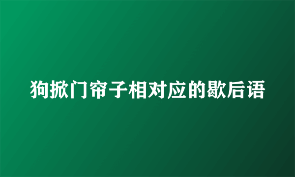 狗掀门帘子相对应的歇后语