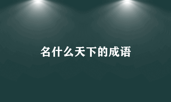 名什么天下的成语