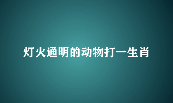 灯火通明的动物打一生肖