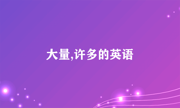 大量,许多的英语