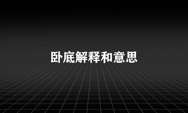 卧底解释和意思