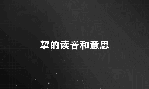 挈的读音和意思