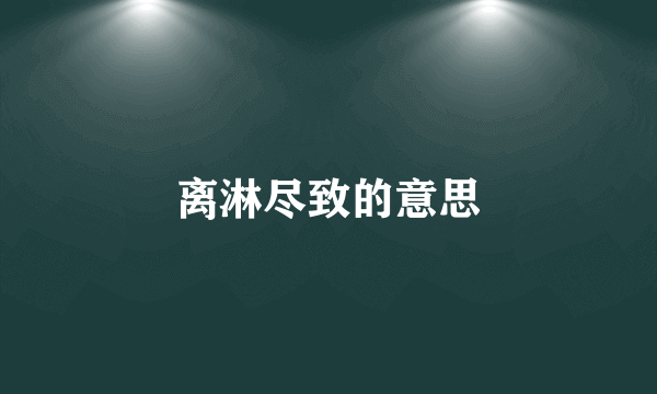 离淋尽致的意思