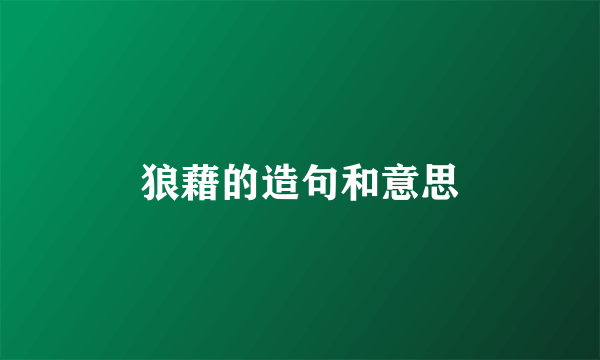 狼藉的造句和意思