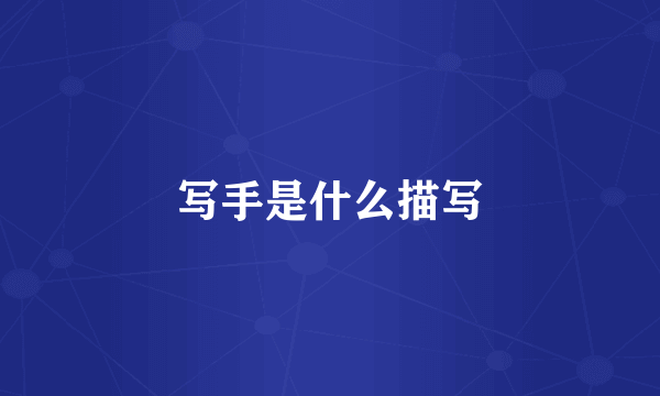 写手是什么描写