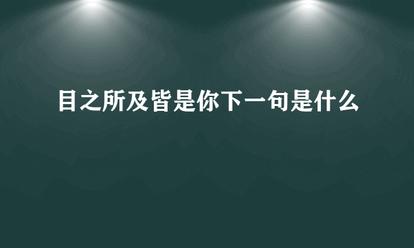 目之所及皆是你下一句是什么