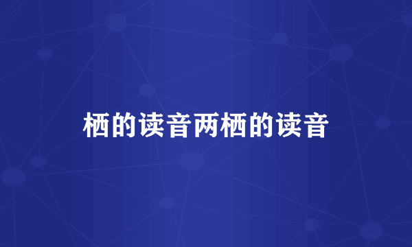 栖的读音两栖的读音