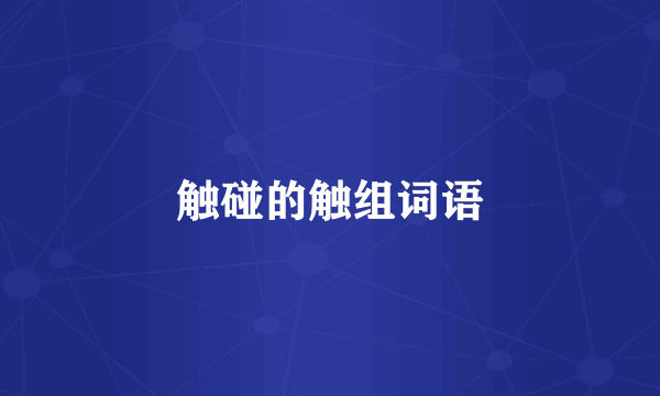 触碰的触组词语