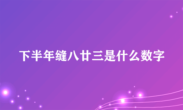 下半年缝八廿三是什么数字