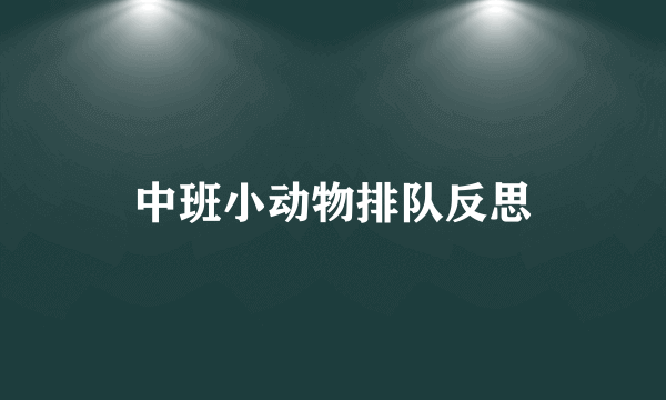 中班小动物排队反思