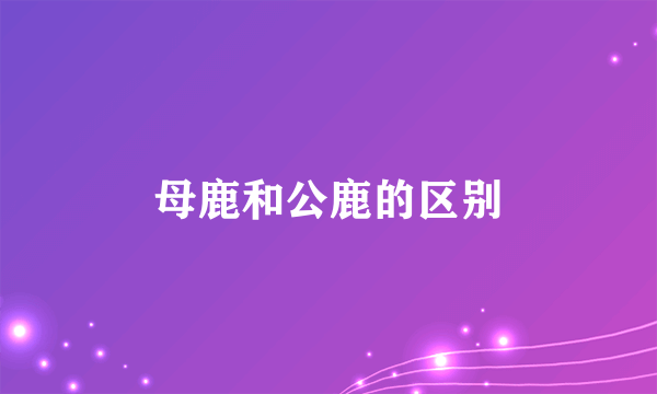 母鹿和公鹿的区别