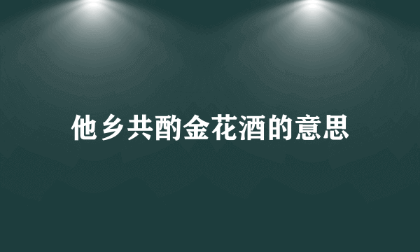他乡共酌金花酒的意思