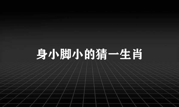 身小脚小的猜一生肖