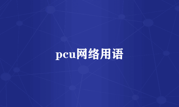 pcu网络用语