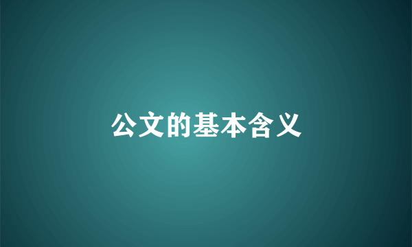 公文的基本含义