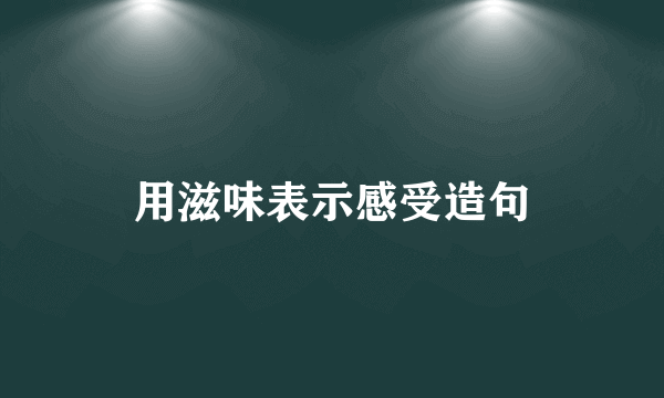 用滋味表示感受造句