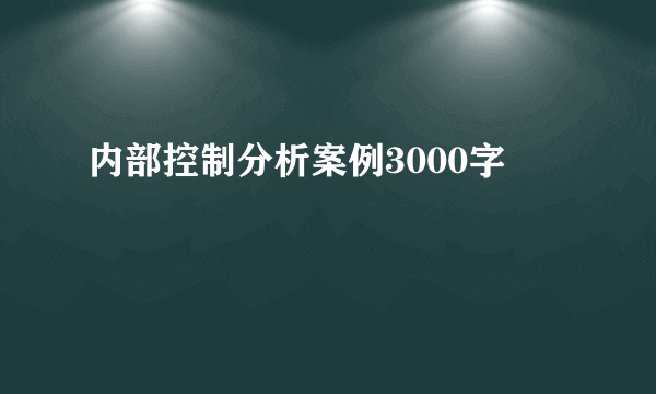 内部控制分析案例3000字