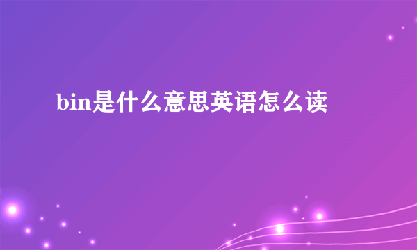 bin是什么意思英语怎么读