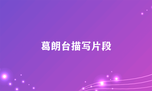 葛朗台描写片段