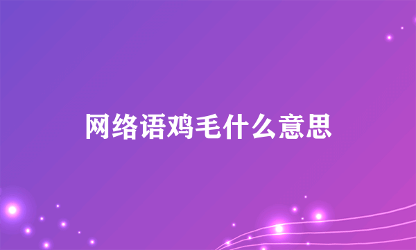 网络语鸡毛什么意思