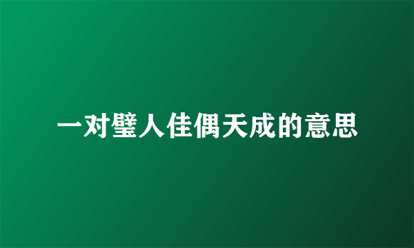 一对璧人佳偶天成的意思