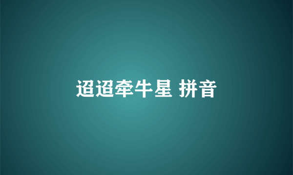 迢迢牵牛星 拼音