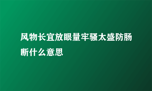 风物长宜放眼量牢骚太盛防肠断什么意思