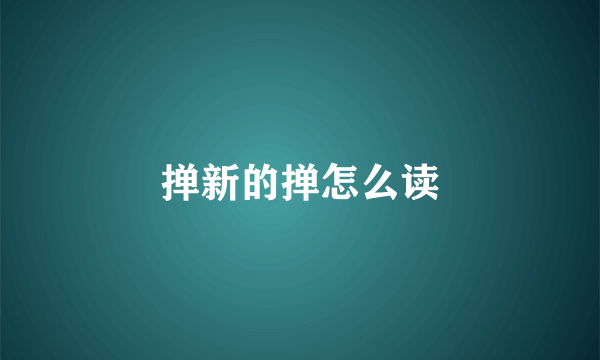 掸新的掸怎么读