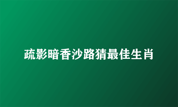 疏影暗香沙路猜最佳生肖